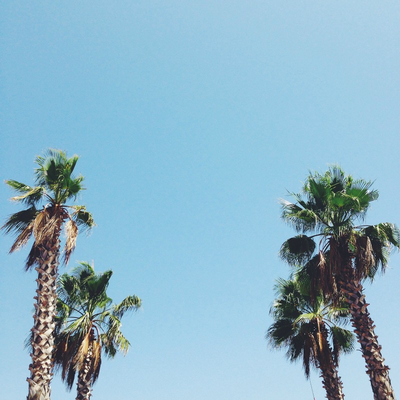 Processed with VSCOcam with f2 preset