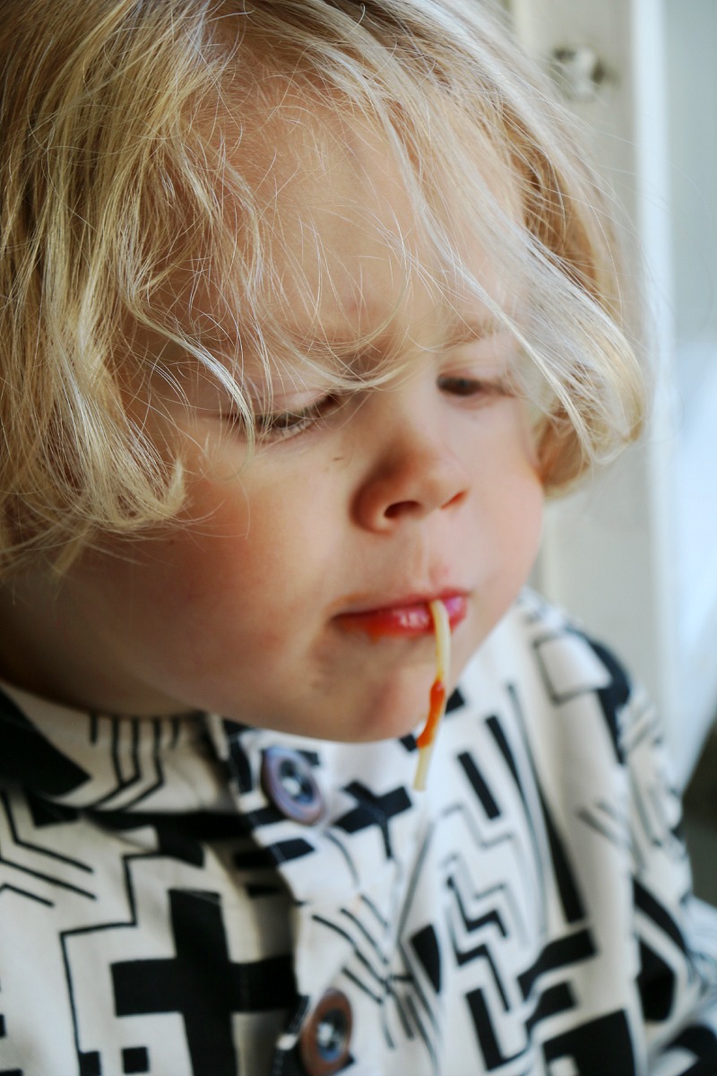 hämähäkkinakki elvis spaghettisuu