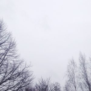 NO VOIHAN MANDARIINI